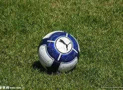 完美真人视,资讯,WM完美真人视讯,WM完美真人视讯,WM完美真人平台,WM完美真人官网,WM完美真人官网app