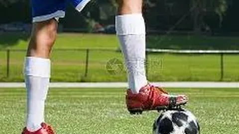 体育巨星世纪盛宴——知识之城.pdf