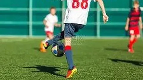 WM完美真人视讯 产品 124102 xzm