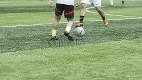 WM完美真人视讯 产品 125132 r0x